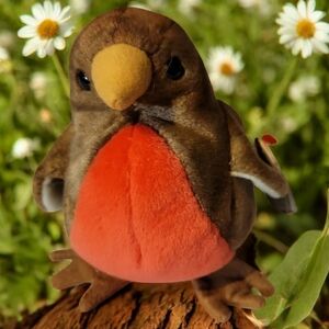 Vtg 97/98 TY EARLY ROBIN BIRD BEANIE BABY RETIRED Tag (Errors)